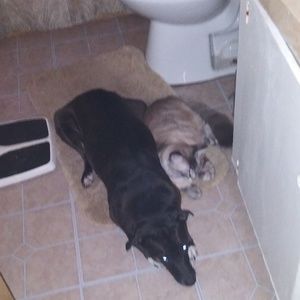 Meet your Posher, Melanie